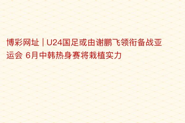 博彩网址 | U24国足或由谢鹏飞领衔备战亚运会 6月中韩热身赛将栽植实力