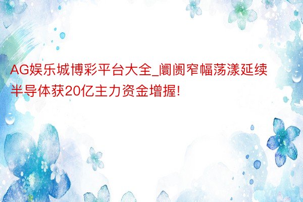 AG娱乐城博彩平台大全_阛阓窄幅荡漾延续 半导体获20亿主力资金增握!